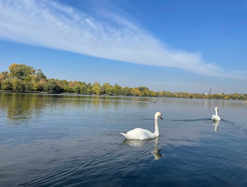 Lacul Tei x D-na Ghica, palat, pe marginea parcului Plumbuita,